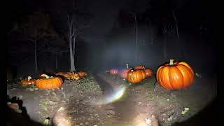 petrifying pumpkins intro