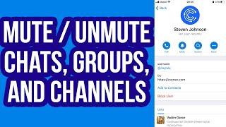 How to Mute / Unmute Chats, Groups, and Channels on Telegram