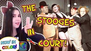 First Time! I React To THE THREE STOOGES Disorder In the Court! THE THREE STOOGES Reaction!