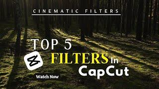 Cinematic Filter in CapCut | Viral Filters for Videos