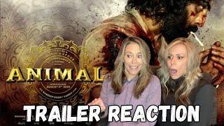 ANIMAL Movie Teaser Reaction (2023) | Ranbir Kapoor & Sandeep Vanga | Netflix Trailer First Look