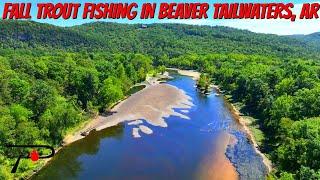 Fall Trout Fishing Arkansas' Beaver Tailwaters (From the Bank)