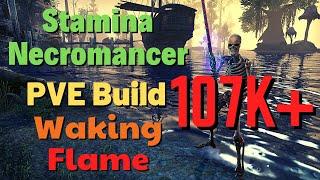 ESO - Stamina Necromancer PVE Build (107k+) - Waking Flame