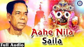 Ahe Nila Saila - ଆହେ ନୀଳ ଶୈଳ ଭଜନ ସମ୍ରାଟ ଶ୍ରୀ ଭିକାରି ବଳଙ୍କ କଣ୍ଠରେ ଭକ୍ତ ସାଲବେଗ ଚଳଚିତ୍ରର ଭକ୍ତିଭରା ଭଜନ