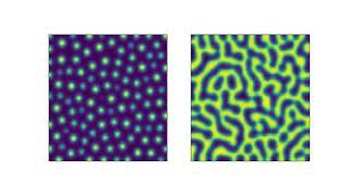 Evolution of a Turing Pattern using reaction-diffusion equations