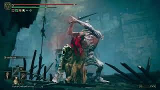 Th3Karazyk1d’s Elden Ring: Shadow of the Erdtree first boss fight.