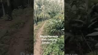 Sendirian Di Gunung || Merinding Coy !!! #horrorstories #ceritahorrorstory #ceritaseramterbaru