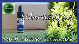 Scleranthus - For Indecision & Uncertainty (Bach Flower Remedies) (Green Healing S3E41)