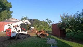 Storm damage tree removal