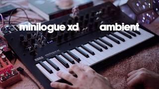 Aevum | Minilogue XD ambient with Chase Bliss MOOD | lofi analog synthesizer sounds for relaxation