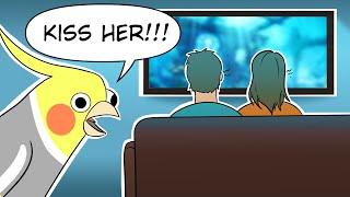 Cute Comics With A Parrot Twist | Comic Dub