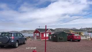 Twillingate, NL Canada 