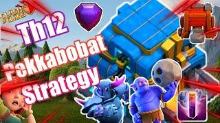 Th12 Pekkabobat Attack Strategy | Th12 Pekka Bowler Bat Spell Attack 2020 