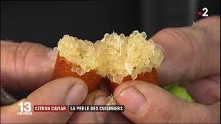 Le citron caviar, janv 2019