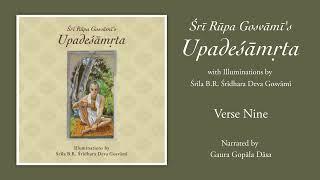 Upadesamrta Audiobook - Verse Nine (vaikuṇṭhāj janito varā madhu-purī tatrāpi rāsotsavād)