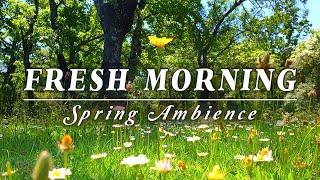 Begin Your Day with the POSITIVE ENERGY of Healing Spring SoundsFresh Morning Ambience Meditation