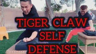 Tiger Kung fu for Beginners | Self Defense