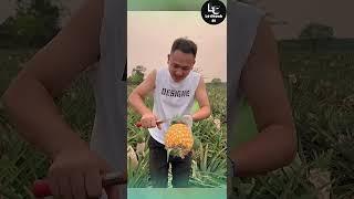 Farm fresh ninja fruit cutting #1 | Ly Chynh St  #shorts