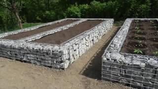 Potager en gabion