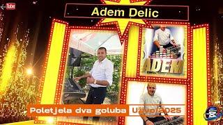 Adem Delić - Poletjela dva goluba Uživo/2025