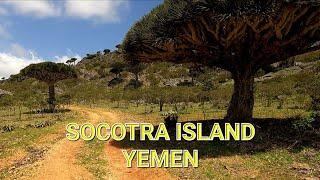 Socotra Island, Yemen