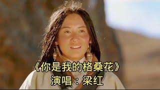 《你是我的格桑花》演唱：梁红