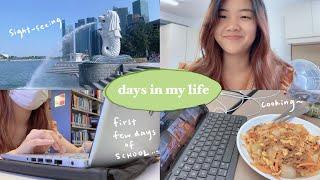 first few days of university  ‍ | International Student at NTU | Singapore