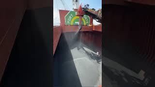 Loading Pet Coke in bulk. #shipping#loading#cargo