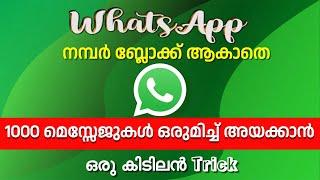 How to send WhatsApp bulk messages to your friends and develop your business.