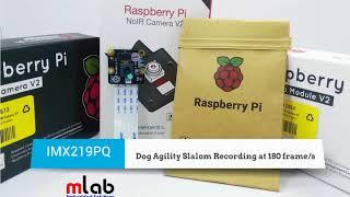 [MLAB.VN ] Test Sony IMX219 image sensor trên một số camera cho Raspberry Pi