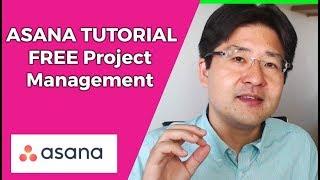 How to Use Asana - FREE Project Management Tool