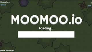 MooMoo.io Two servers available!!!