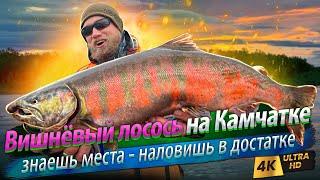  Kamchatka Cherry Trout fishing. We caught a lot of fish!