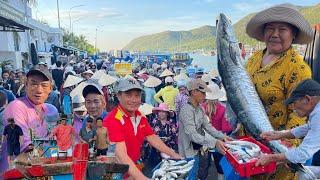 Bến Cá Đông Nghẹt Người Chen Lấn Mua Hải Sản | Bến Cá Cửa Bé Nha Trang