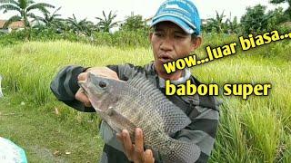 strike luar biasa || bobon nila super