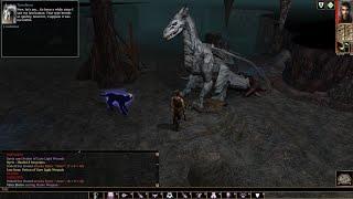 Neverwinter Nights EE - Shadows of Undrentide Walkthrough | 010 - Tymofarrar