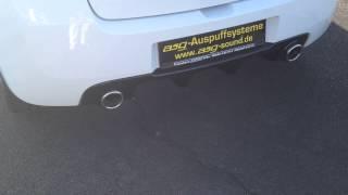 Clio RS CUP mit asg Sportauspuff