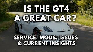 Porsche 981 GT4 - Buyers Guide