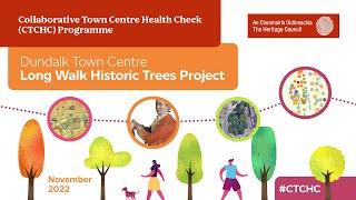 Dundalk Town Centre’s historic ‘Long Walk’ Trees