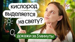 Как доказать, что растения выделяют кислород на свету? Опыт ЕГЭ по биологии