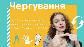 Чергування приголосних та голосних