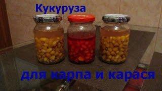 Кукуруза для ловли карася, карпа и леща с различными ароматами