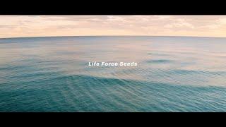 Jasper Høiby - Life Force Seeds (words by Dr. Jane Goodall DBE)