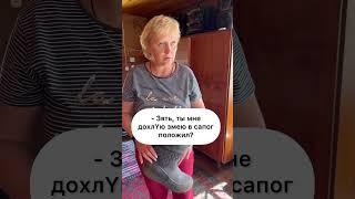 Зять и тёща #юмор #семья #зять