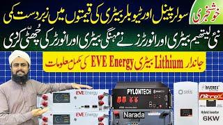 Solar Inverter Price in Pakistan 2025 today|| Lithium Battery price in Pakistan|| Sasta Solar Panel