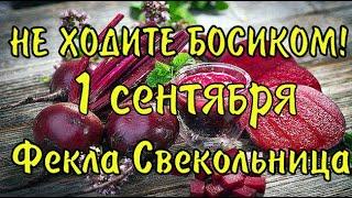 1 Сентября Народный Праздник ФЁКЛА СВЕКОЛЬНИЦА/традиции и приметы/Андрей Тепляк