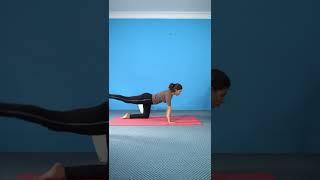 Flexibility Yoga for beginners