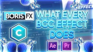What Every Boris Continuum Complete Effect Does [After Effects]