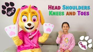 Ceylin-H & Skye - Head Shoulders Knees and Toes Kids Song Kids Pretend Play Video for Babies Toddler