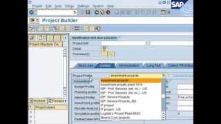 SAP PS Overview Tutorial